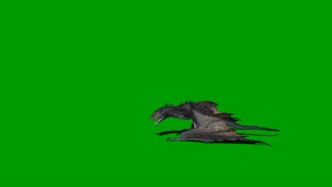 Dragon Flying on Green Screen 07 Stock Footage 237155924