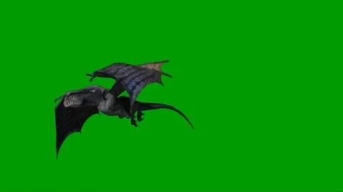 Dragon Flying on Green Screen 10 Stock Footage 222549280