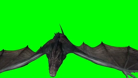 Dragon Flying on Green Screen 10 Stock Footage 237155938