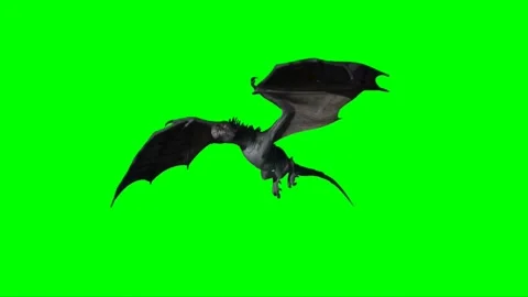 Dragon Flying on Green Screen 12 스톡 동영상 237155974