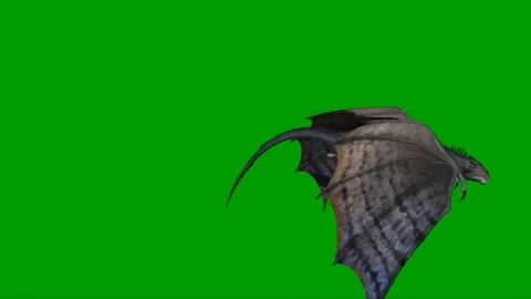 Dragon Flying on Green Screen 13 Stock Footage 222549310