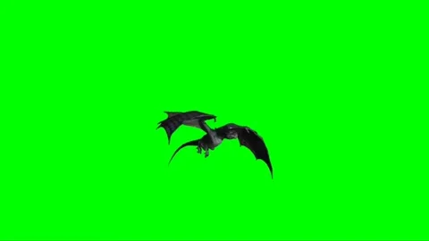 Dragon Flying on Green Screen 13 Stock Footage 237155977