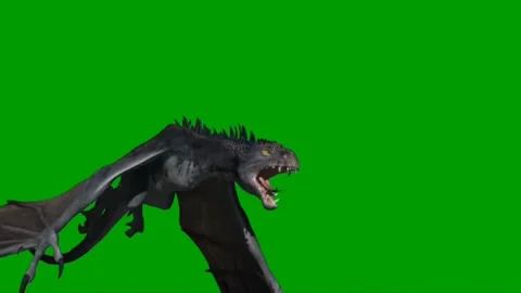 Dragon Flying on Green Screen 14 Stock Footage 222549467