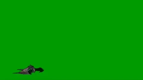 Dragon Flying on Green Screen 16 Stock Footage 237156013