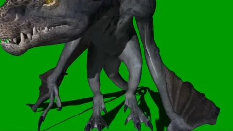 Dragon Flying on Green Screen 17 Stock Footage 237156039