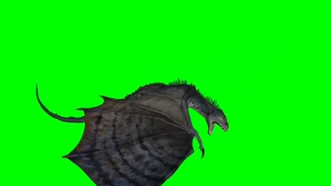 Dragon Flying on Green Screen 18 Stock Footage 222549432