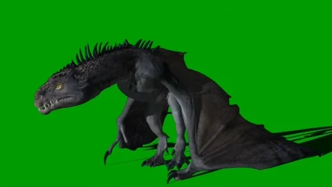 Dragon Flying on Green Screen 18 Stock Footage 237156018