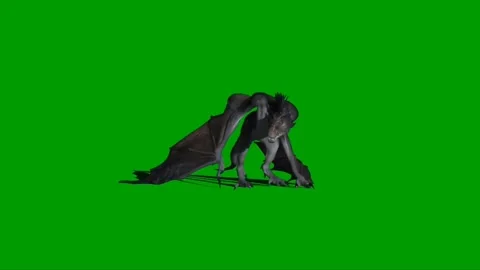Dragon Flying on Green Screen 19 Stock Footage 237156040