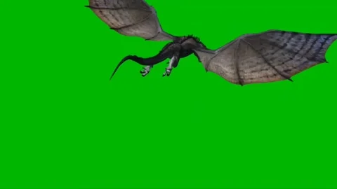 Dragon Flying on Green Screen 20 Stock Footage 222549519