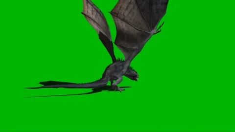 Dragon Flying on Green Screen 20 스톡 동영상 237156047