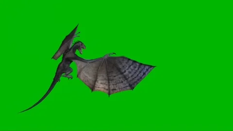 Dragon Flying on Green Screen 21 Stock Footage 237156067