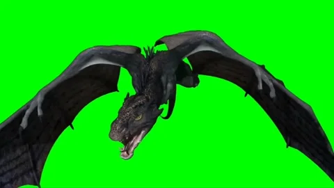 Dragon Flying on Green Screen 22 Stock Footage 222549564
