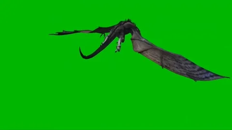 Dragon Flying on Green Screen 22 Stock Footage 237156085