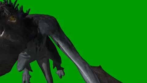Dragon Flying on Green Screen 23 Stock Footage 237156170