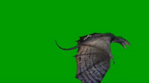 Dragon Flying on Green Screen 24 Stock Footage 237156168