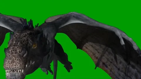 Dragon Flying on Green Screen 25 Stock Footage 222549608
