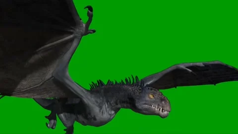 Dragon Flying on Green Screen 25 Stock Footage 237156222