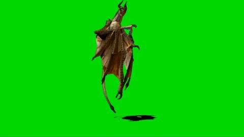 Dragon Flying on Green Screen 26 Stock Footage 222549667