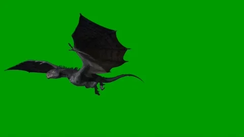 Dragon Flying on Green Screen 26 스톡 동영상 237156193