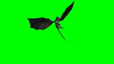 Dragon Flying on Green Screen 27 Stock Footage 237156194