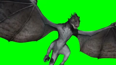 Dragon Flying on Green Screen 28 Stock Footage 237156223