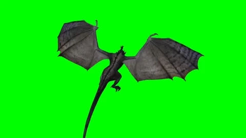 Dragon Flying on Green Screen 30 스톡 동영상 237156252