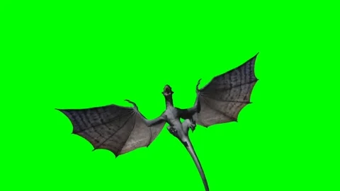 Dragon Flying on Green Screen 31 Stock Footage 237156247