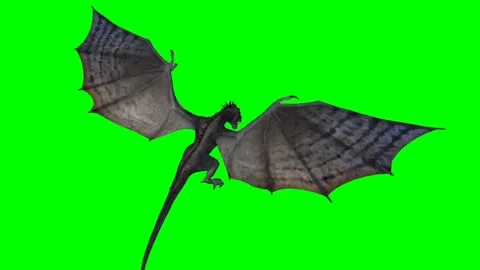 Dragon Flying on Green Screen 32 Stock Footage 237156256