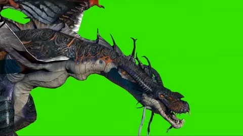 Dragon Flying on Green Screen 33 Stock Footage 222549842