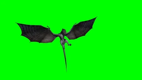 Dragon Flying on Green Screen 33 Stock Footage 237156257