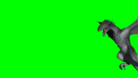 Dragon Flying on Green Screen 34 Stock Footage 237156271