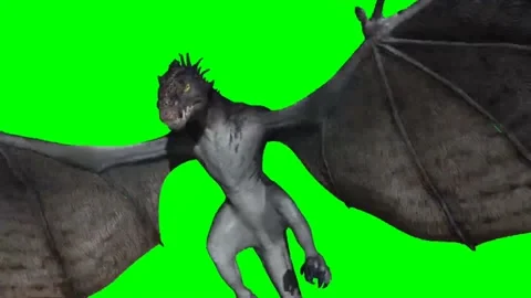 Dragon Flying on Green Screen 35 Stock Footage 237156275