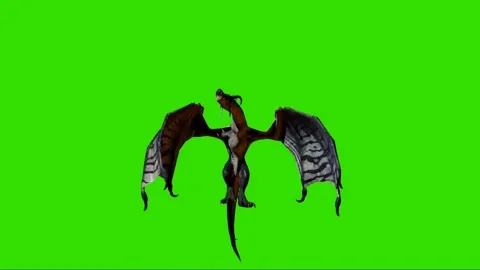 Dragon Flying on Green Screen 36 Stock Footage 222549827