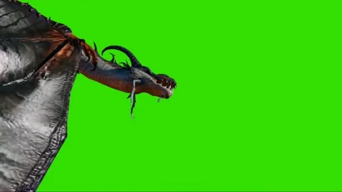 Dragon Flying on Green Screen 37 Stock Footage 222550154