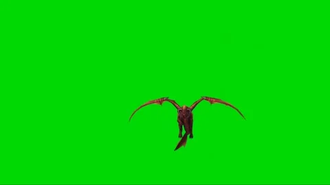Dragon Flying on Green Screen 38 Stock Footage 222549882