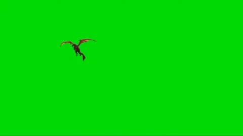 Dragon Flying on Green Screen 39 Video stock 222549950