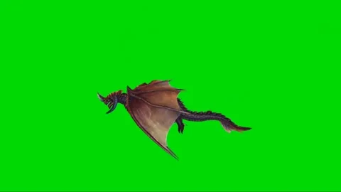 Dragon Flying on Green Screen 42 Stock Footage 222549976