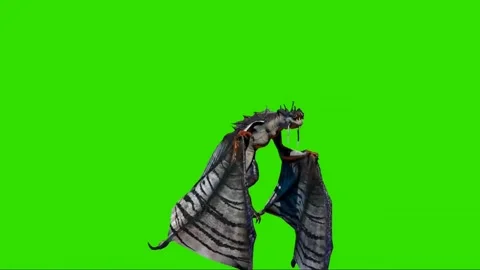 Dragon Flying on Green Screen 47 Stock Footage 222550170