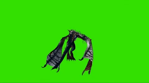 Dragon Flying on Green Screen 48 Stock Footage 222550157