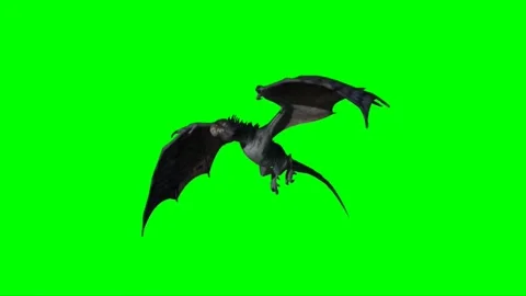 Dragon Flying on Green Screen 49 Stock-Footage 222550187
