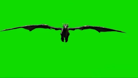 Dragon Flying on Green Screen Stock Footage 222549152