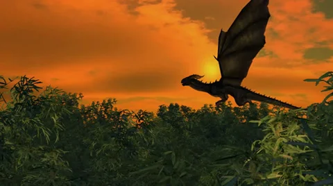 Dragon is flying over bamboo forest on sunset background Stock-Footage 36178528