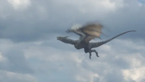 The Dragon flying in the sky Stock Footage 142913213