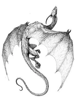 Dragon flying in the sky Stock Illustration