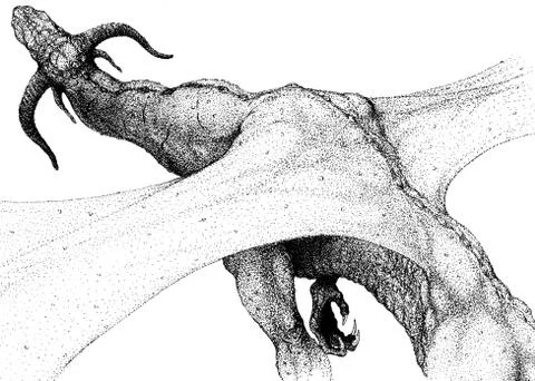 Dragon flying with spread wings top view Stock Illustration