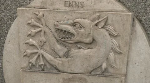 Dragon Video stock 21733541