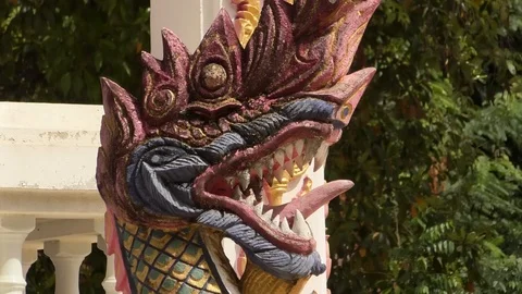 Dragon Stock Footage 112613631