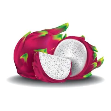 Dragon fruit and slice Stock Illustration