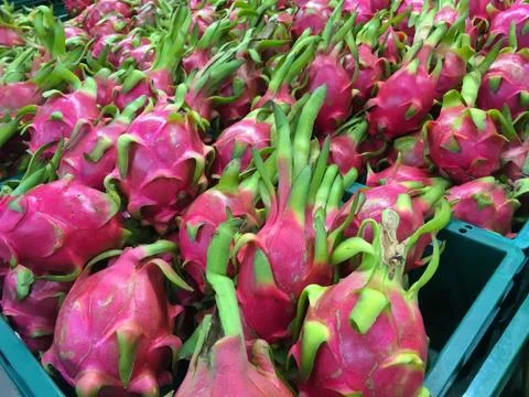 Dragon fruit in basket for Sale Stock Photos