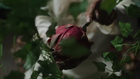 Dragon Fruit Being Cut in Half, Fruit Close Up, Exotic Fruit Video stock 244802167